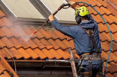 Démoussage et hydrofuge de toiture au Plagnal